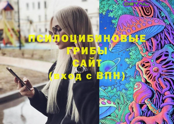 дмт Осинники