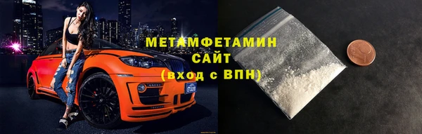 индика Новозыбков