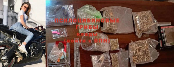 гашиш Новодвинск