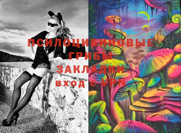 дмт Осинники