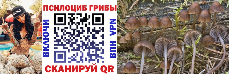 Псилоцибиновые грибы прущие грибы  Каменка 