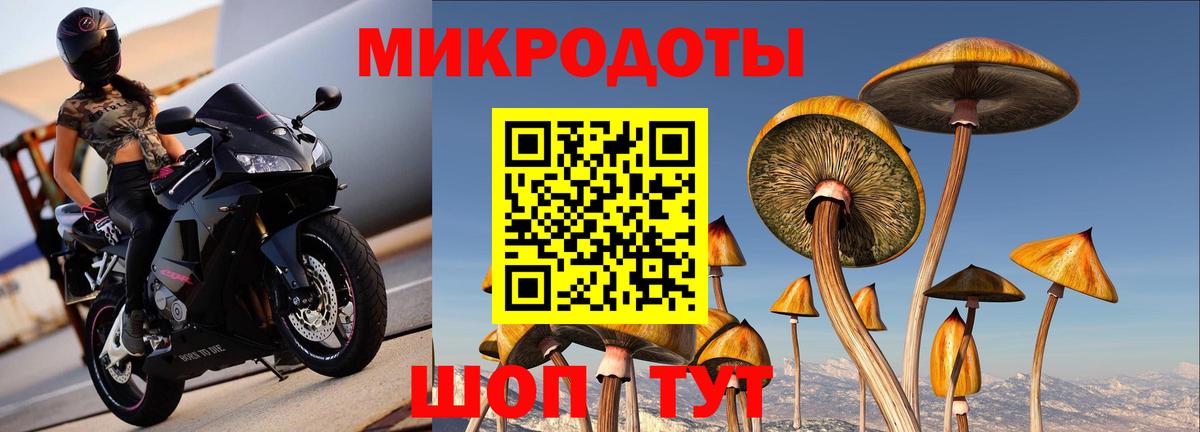 Каменка  Галлюциногенные грибы MAGIC MUSHROOMS  Вход с VPN  Галлюциногенные грибы ЛСД 