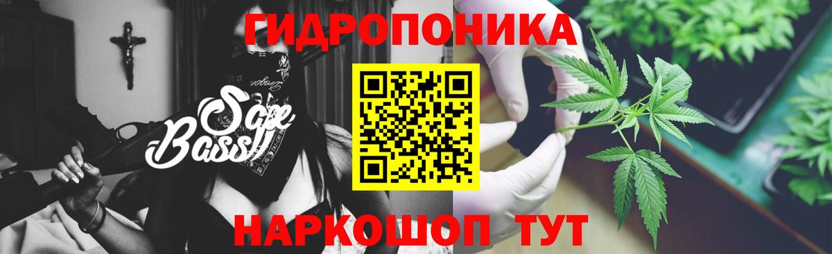 МАРИХУАНА семена Каменка
